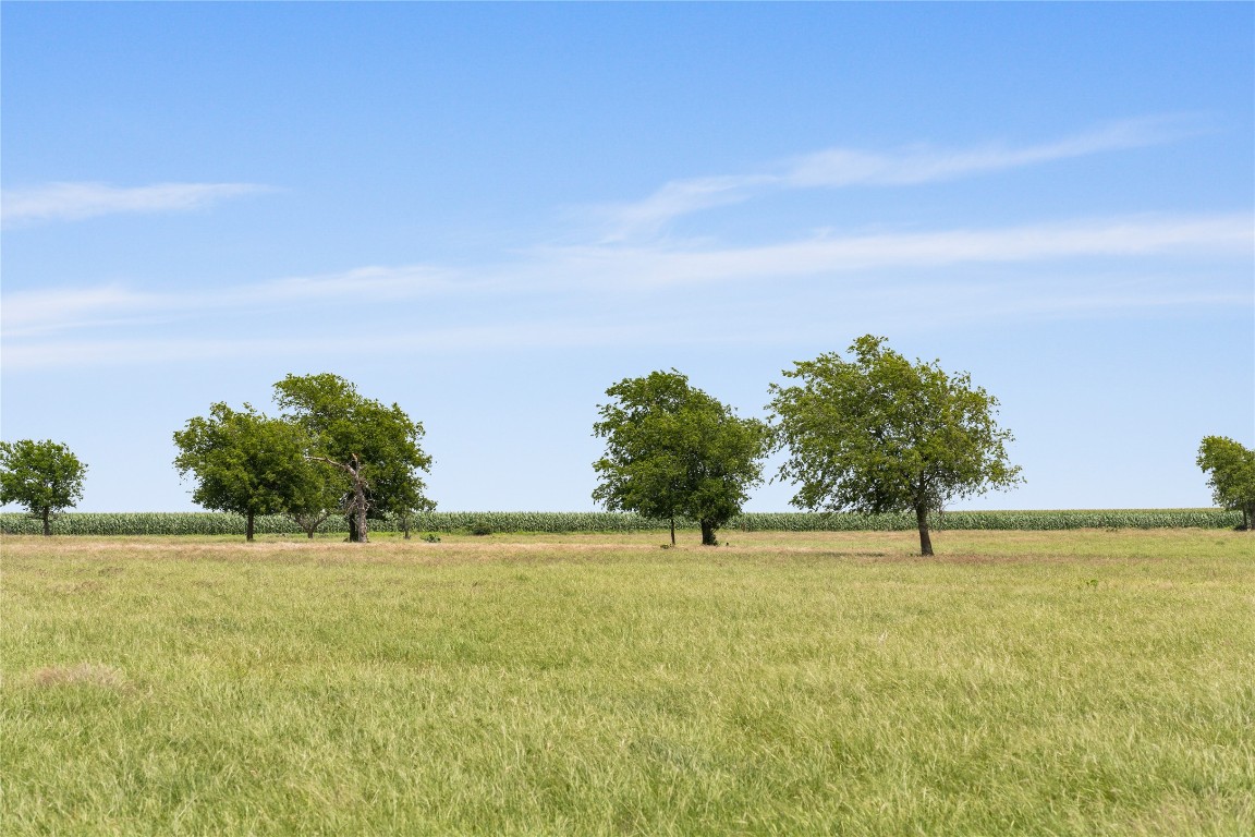 16160 Siler Road Moody, TX 76557 - Photo 10 of 40 a view of yard with ocean view