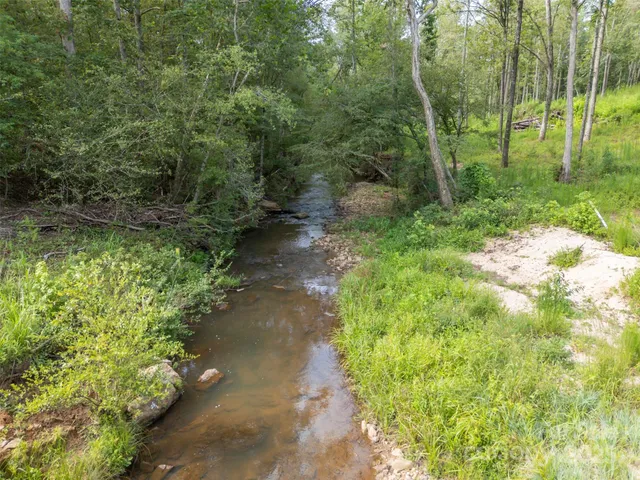 a view of a garden with trees
