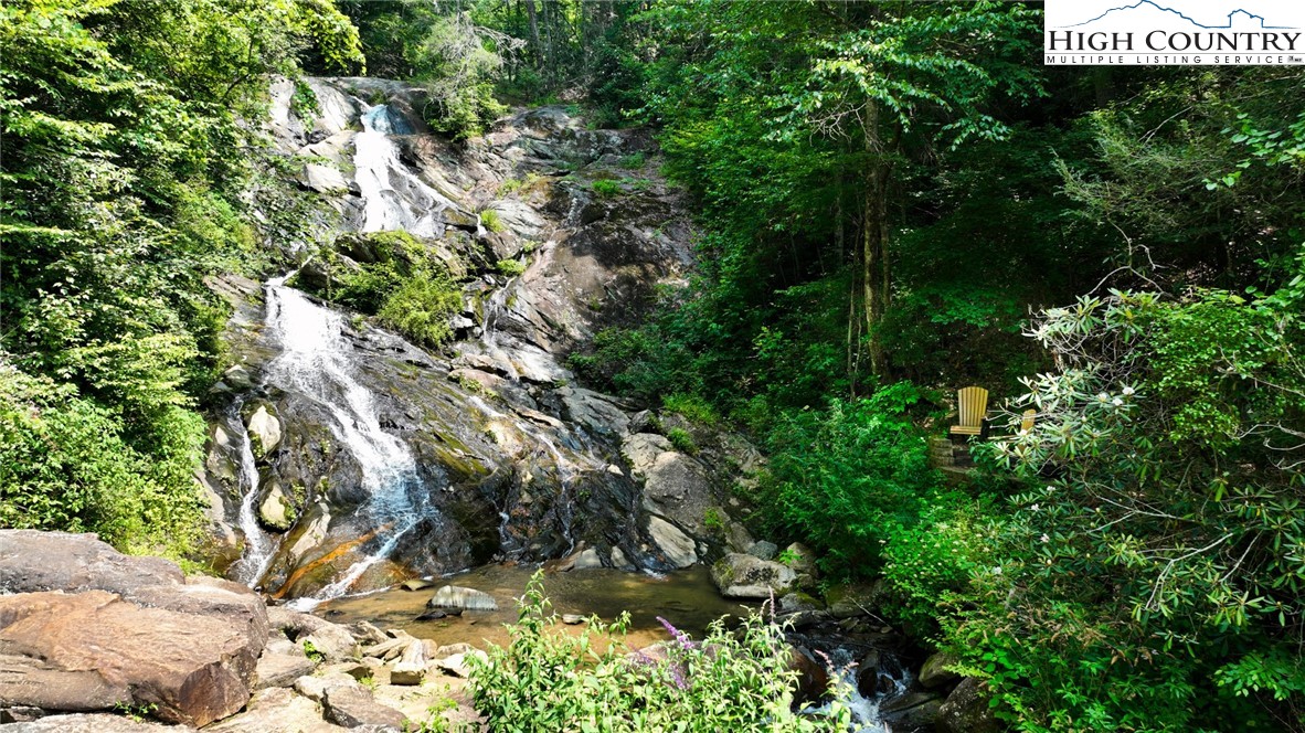 4923 Staghorn Road Purlear, NC 28665 - Photo 46 of 49 a view of a tree with plants and large trees