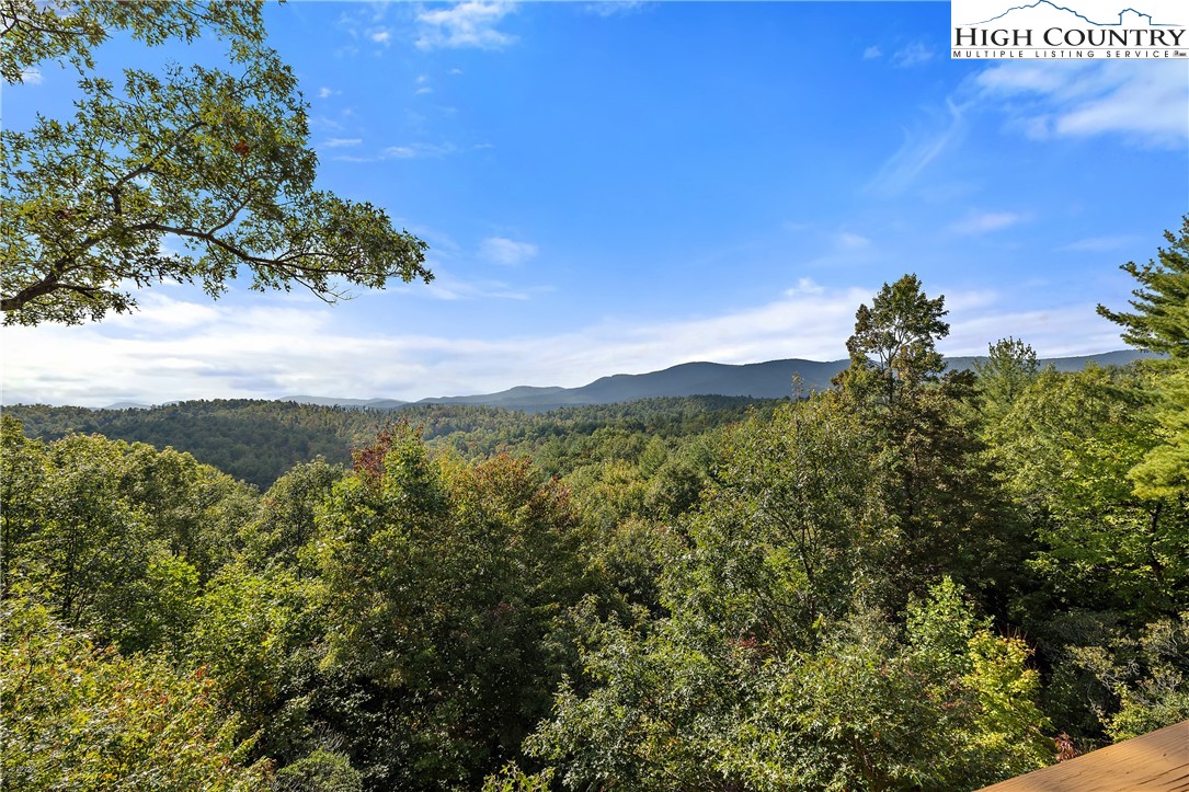 4923 Staghorn Road Purlear, NC 28665 - Photo 5 of 49 a view of a city