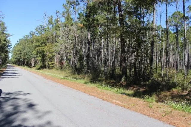 $200,000 | 0 Old Gainsville-Pearlington Road, Pearlington, MS 39572