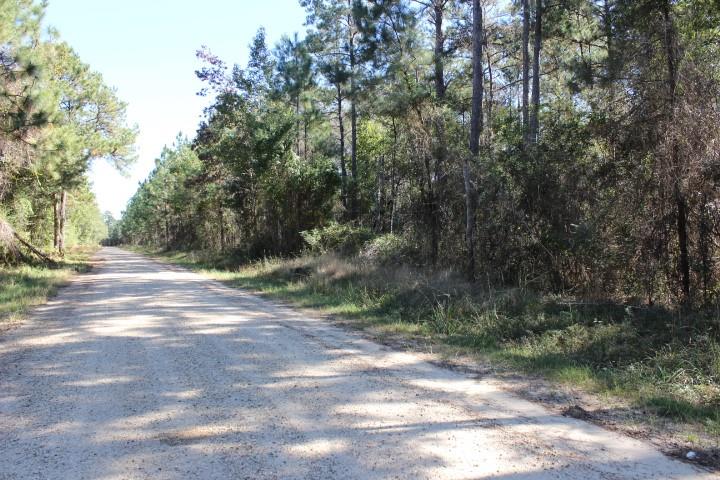 0 Old Gainsville-Pearlington Road Pearlington, MS 39572 - Photo 2 of 9