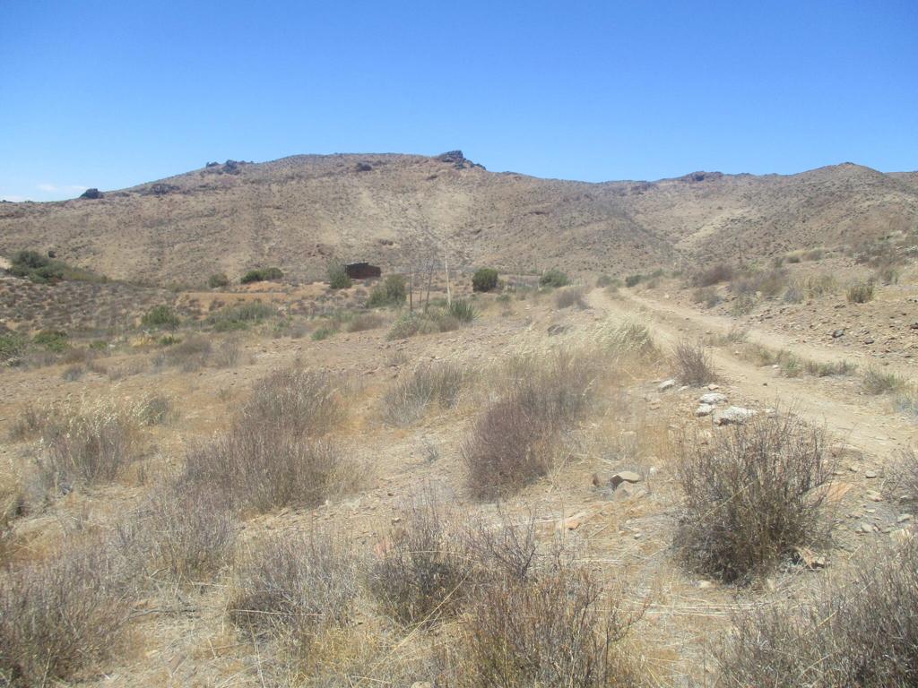 28 Hughes Canyon Acton, CA 93510 - Photo 1 of 52 a view of a dry yard