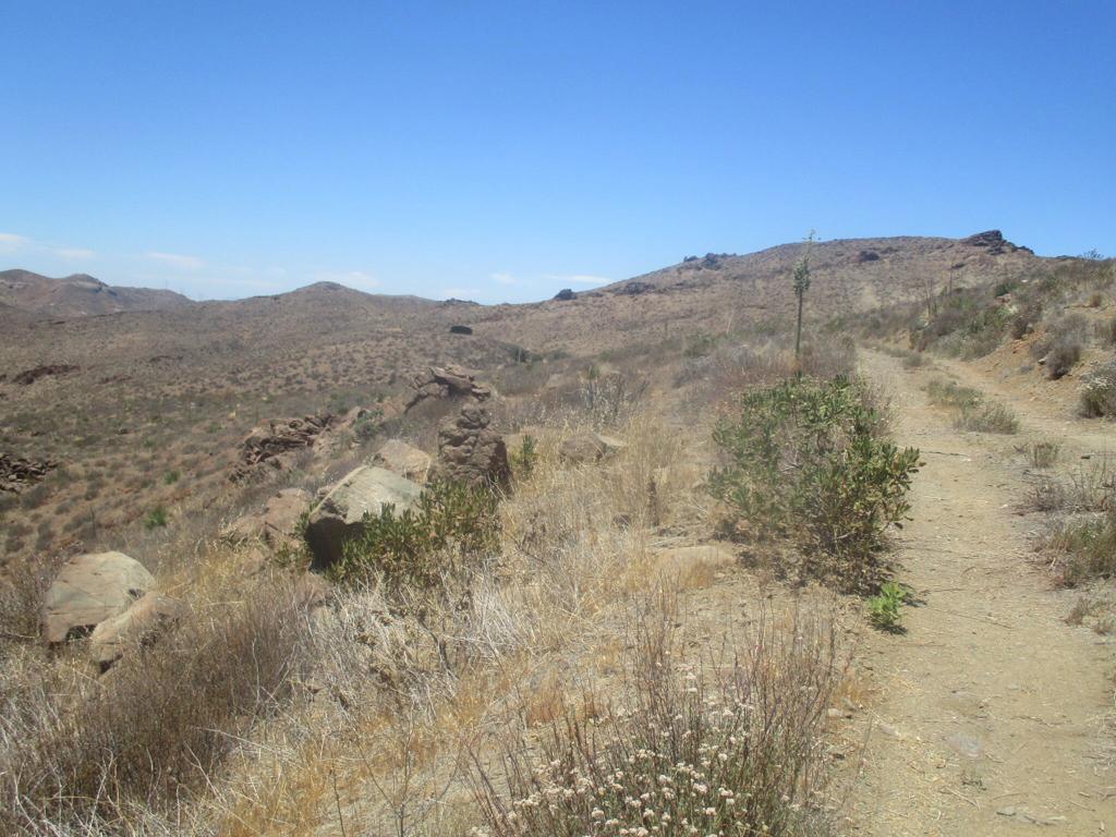 28 Hughes Canyon Acton, CA 93510 - Photo 12 of 52 a view of a dry yard with mountains in the background