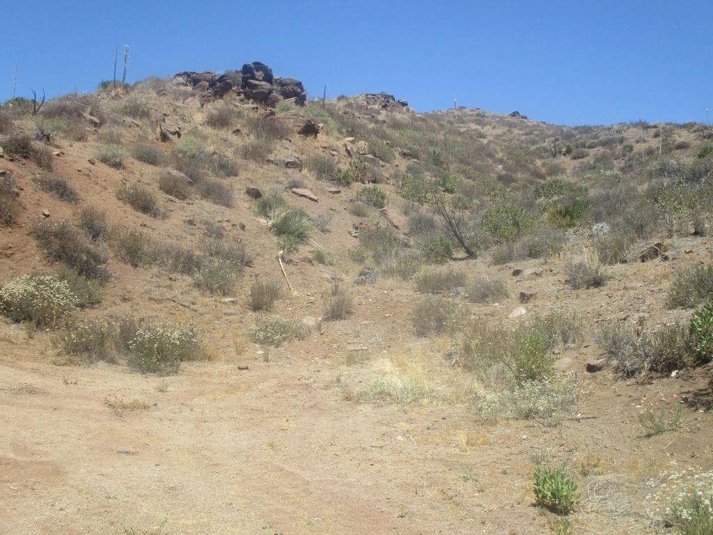 28 Hughes Canyon Acton, CA 93510 - Photo 13 of 52 a view of a dry field