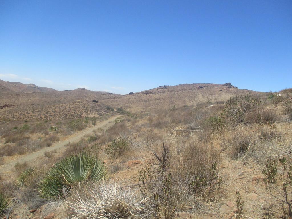 28 Hughes Canyon Acton, CA 93510 - Photo 18 of 52 a view of a mountain range with trees