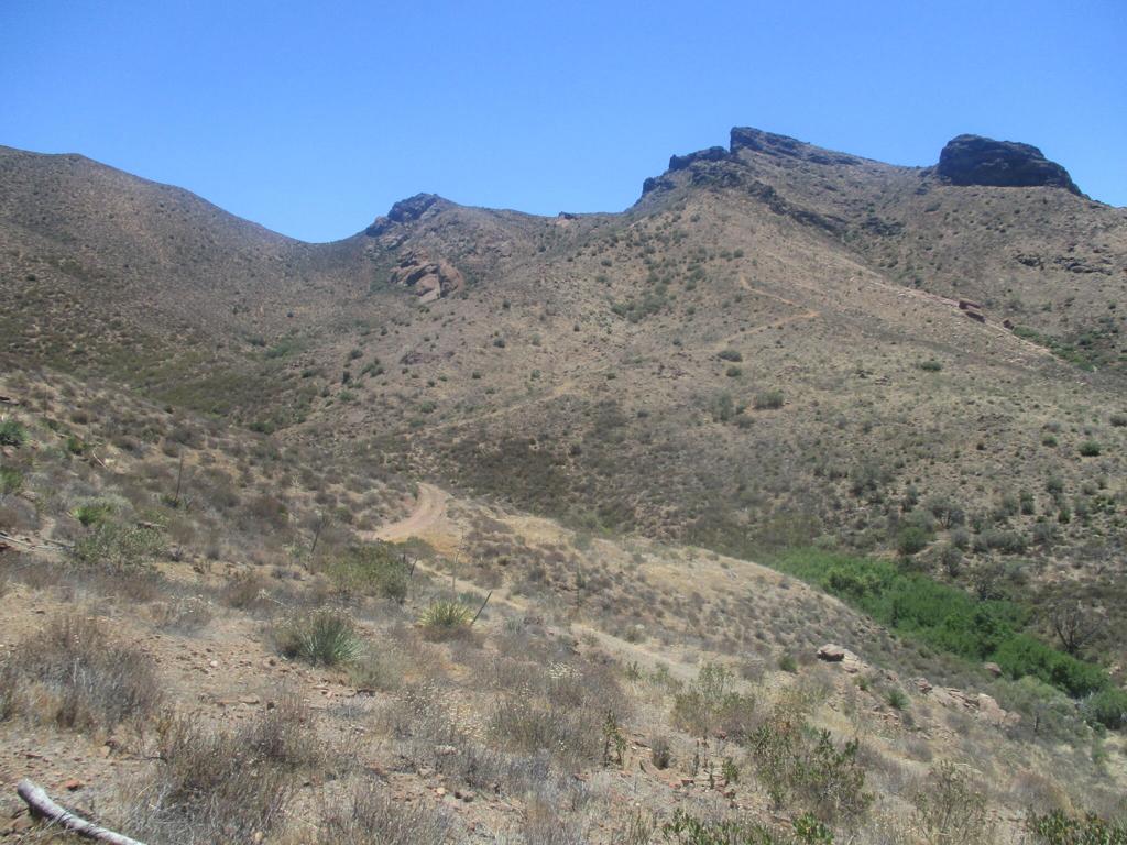 28 Hughes Canyon Acton, CA 93510 - Photo 20 of 52 a view of a dry yard with mountains in the background