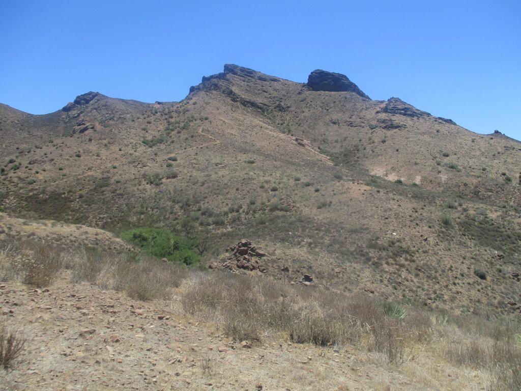 28 Hughes Canyon Acton, CA 93510 - Photo 2 of 52 a view of a dry yard with mountains in the background