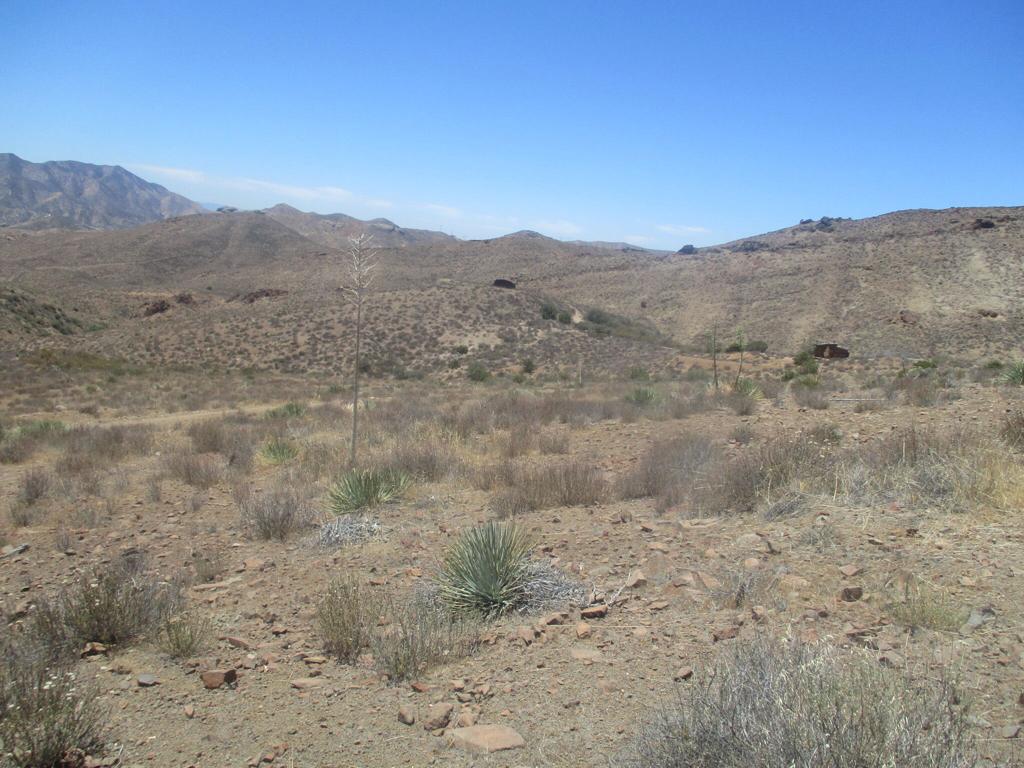 28 Hughes Canyon Acton, CA 93510 - Photo 22 of 52 a view of a dry field