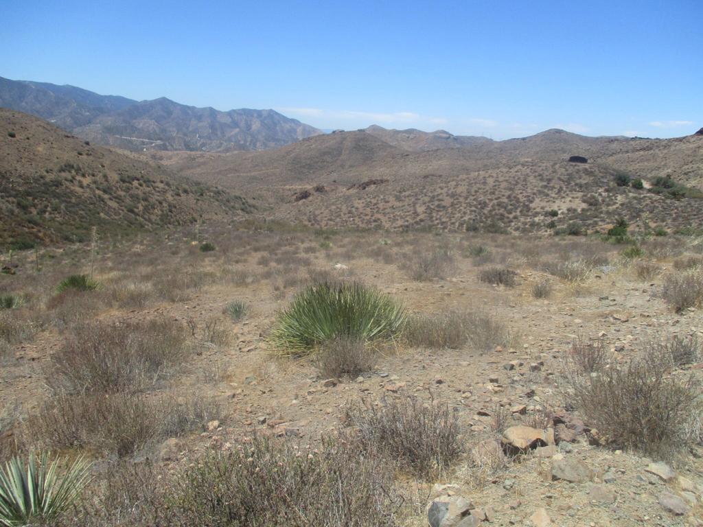 28 Hughes Canyon Acton, CA 93510 - Photo 23 of 52 a view of a dry field with mountains in the background