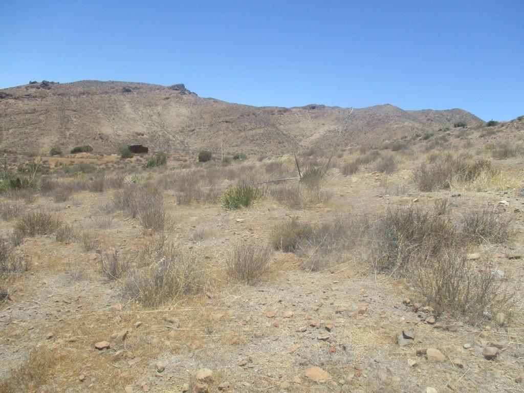 28 Hughes Canyon Acton, CA 93510 - Photo 24 of 52 a view of a dry yard