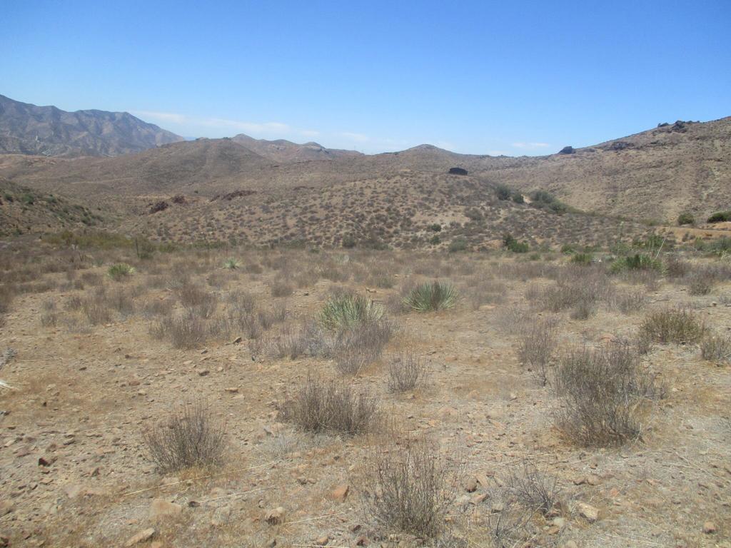 28 Hughes Canyon Acton, CA 93510 - Photo 25 of 52 a view of a dry field with mountains in the background