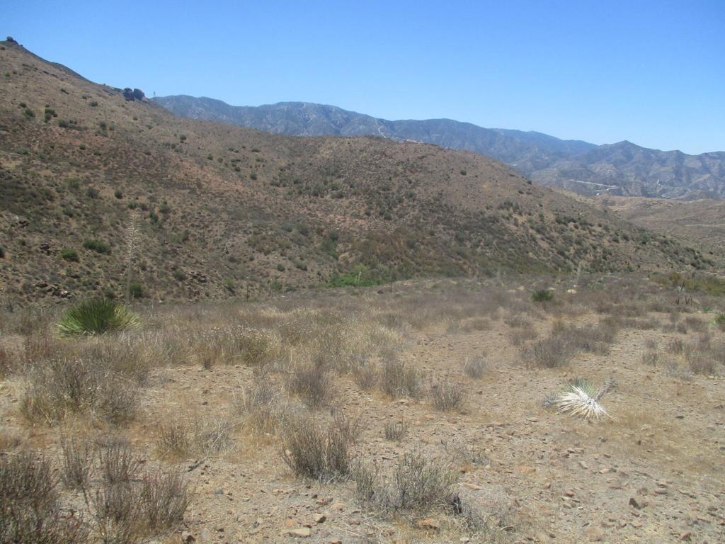 28 Hughes Canyon Acton, CA 93510 - Photo 26 of 52 a view of a dry field