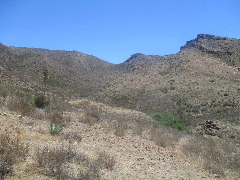 28 Hughes Canyon Acton, CA 93510 - Photo 27 of 52 a view of a dry yard with mountains in the background