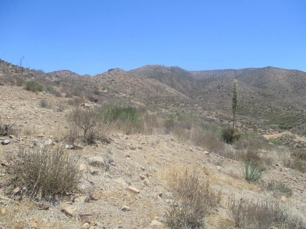 28 Hughes Canyon Acton, CA 93510 - Photo 28 of 52 a view of a dry yard with mountains in the background