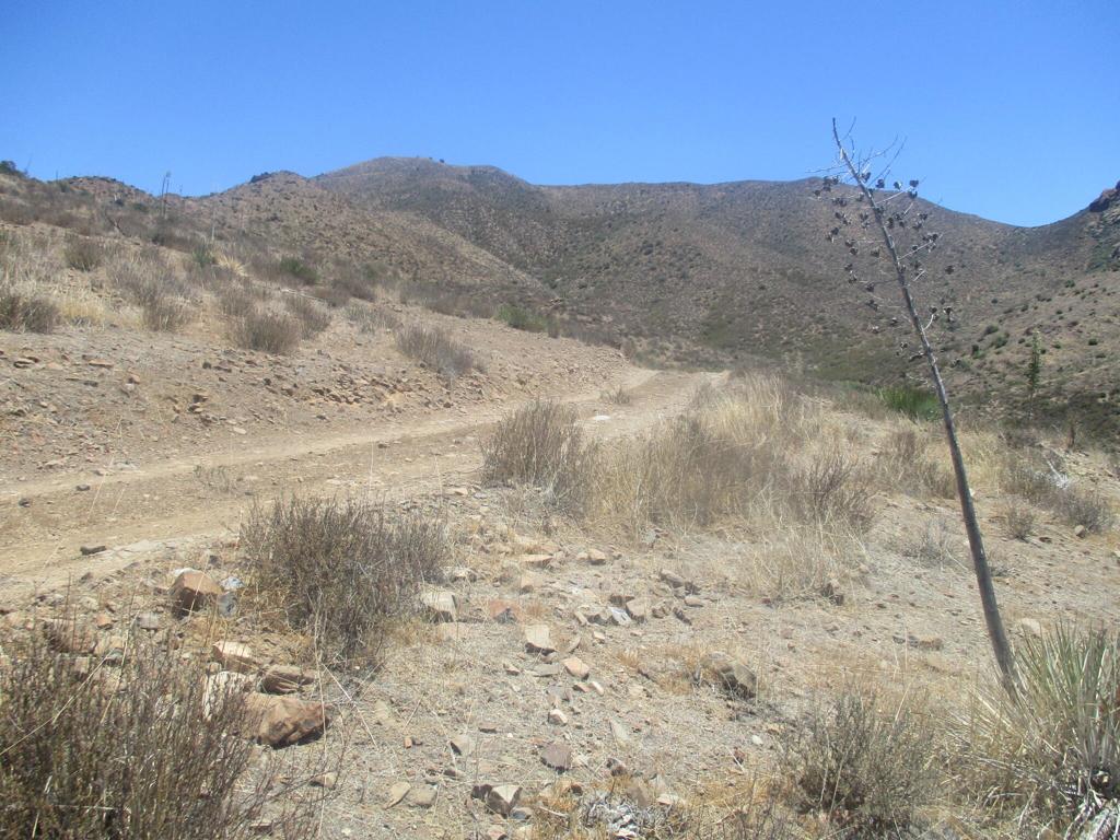 28 Hughes Canyon Acton, CA 93510 - Photo 29 of 52 a view of a dry yard with mountains in the background