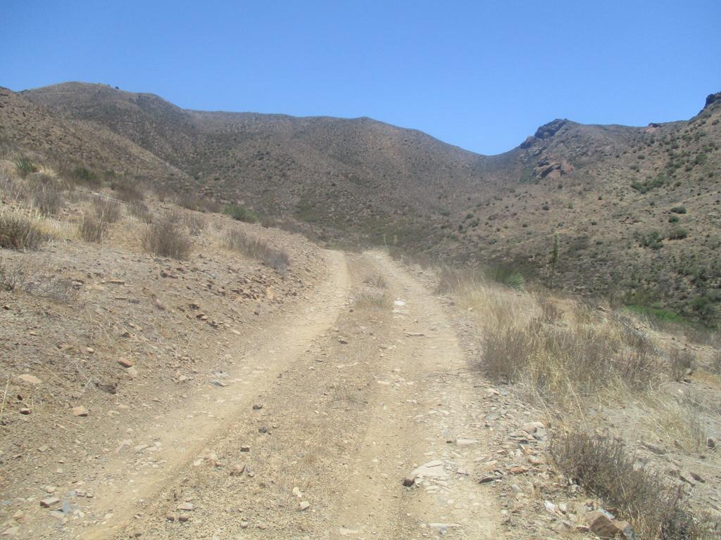 28 Hughes Canyon Acton, CA 93510 - Photo 30 of 52 a view of a dry yard with mountains in the background