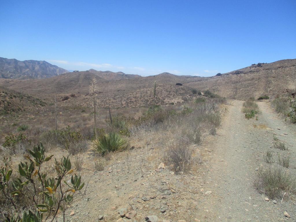 28 Hughes Canyon Acton, CA 93510 - Photo 33 of 52 a view of a dry field with mountains in the background