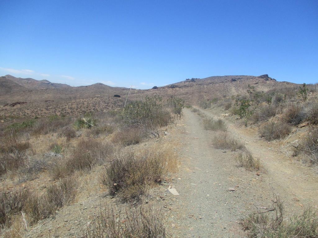 28 Hughes Canyon Acton, CA 93510 - Photo 36 of 52 a view of a dry yard with mountains in the background