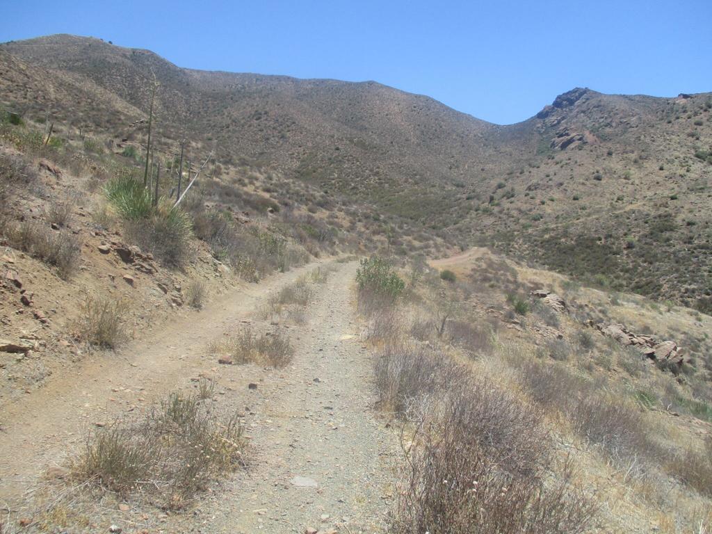 28 Hughes Canyon Acton, CA 93510 - Photo 37 of 52 a view of a dry field with mountains in the background