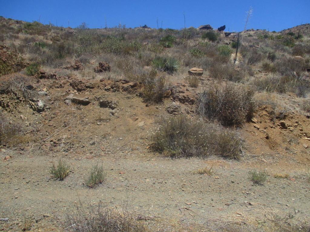 28 Hughes Canyon Acton, CA 93510 - Photo 38 of 52 a view of a dry yard with mountains in the background