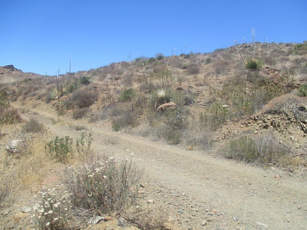 28 Hughes Canyon Acton, CA 93510 - Photo 39 of 52 a view of a dry yard