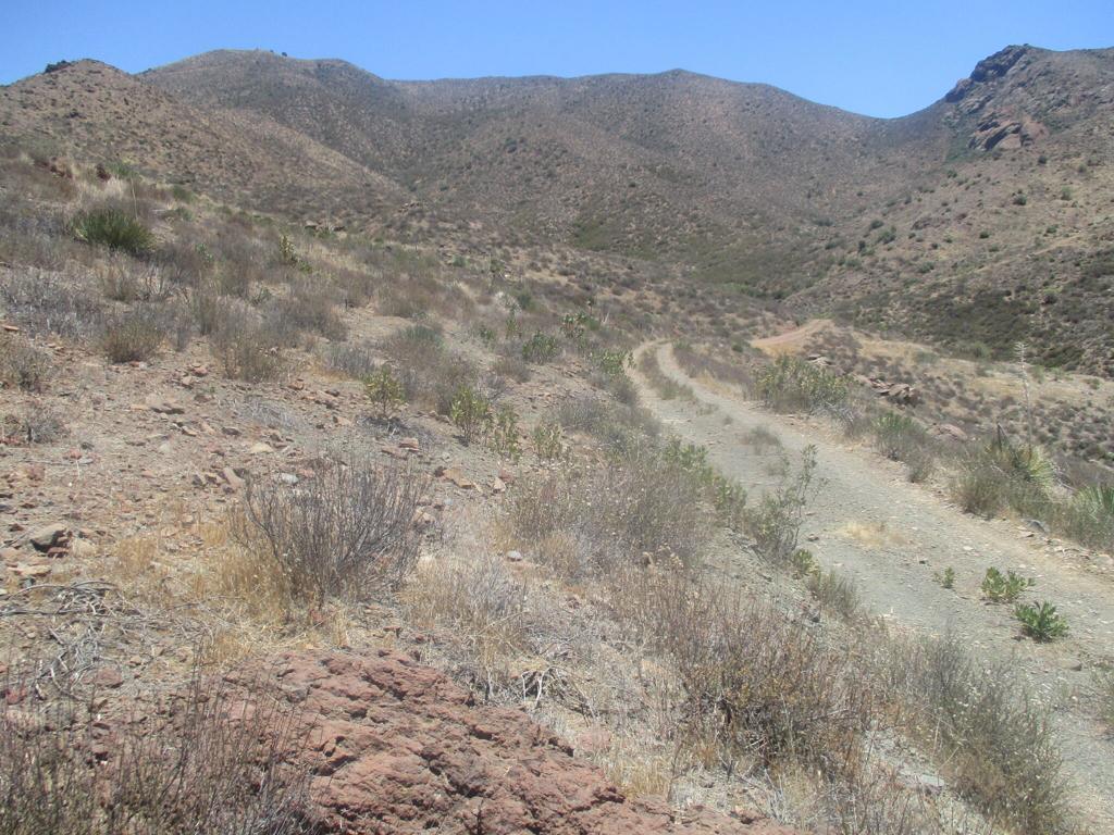 28 Hughes Canyon Acton, CA 93510 - Photo 4 of 52 a view of a dry yard with mountains in the background