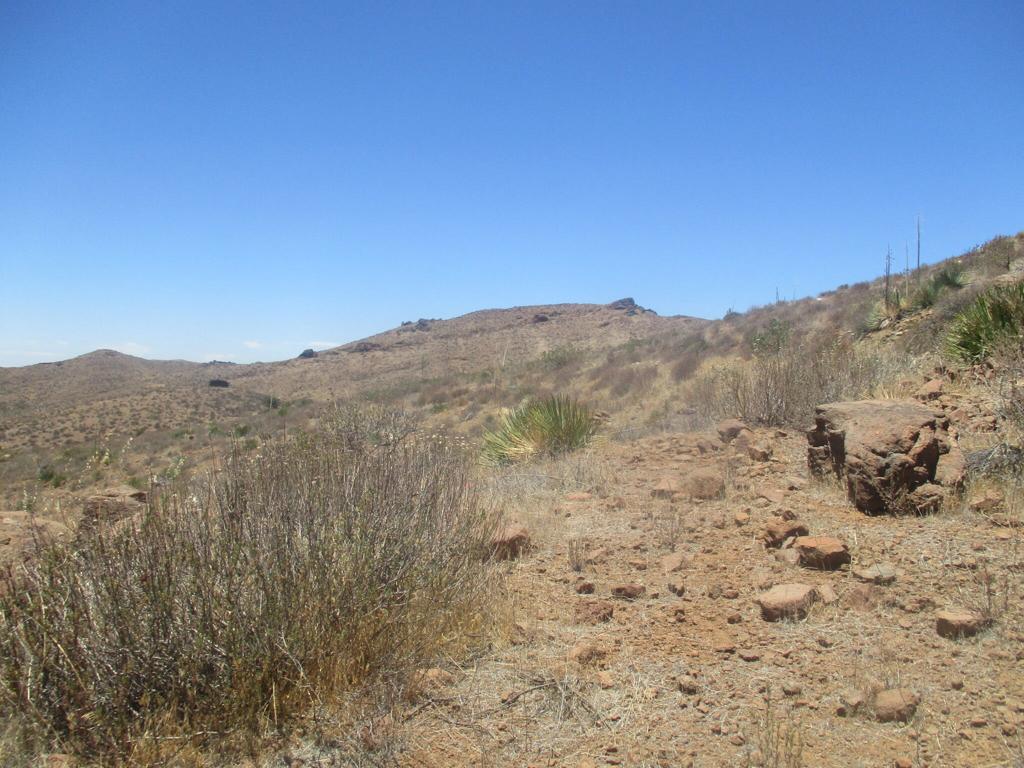 28 Hughes Canyon Acton, CA 93510 - Photo 10 of 52 a view of a dry field