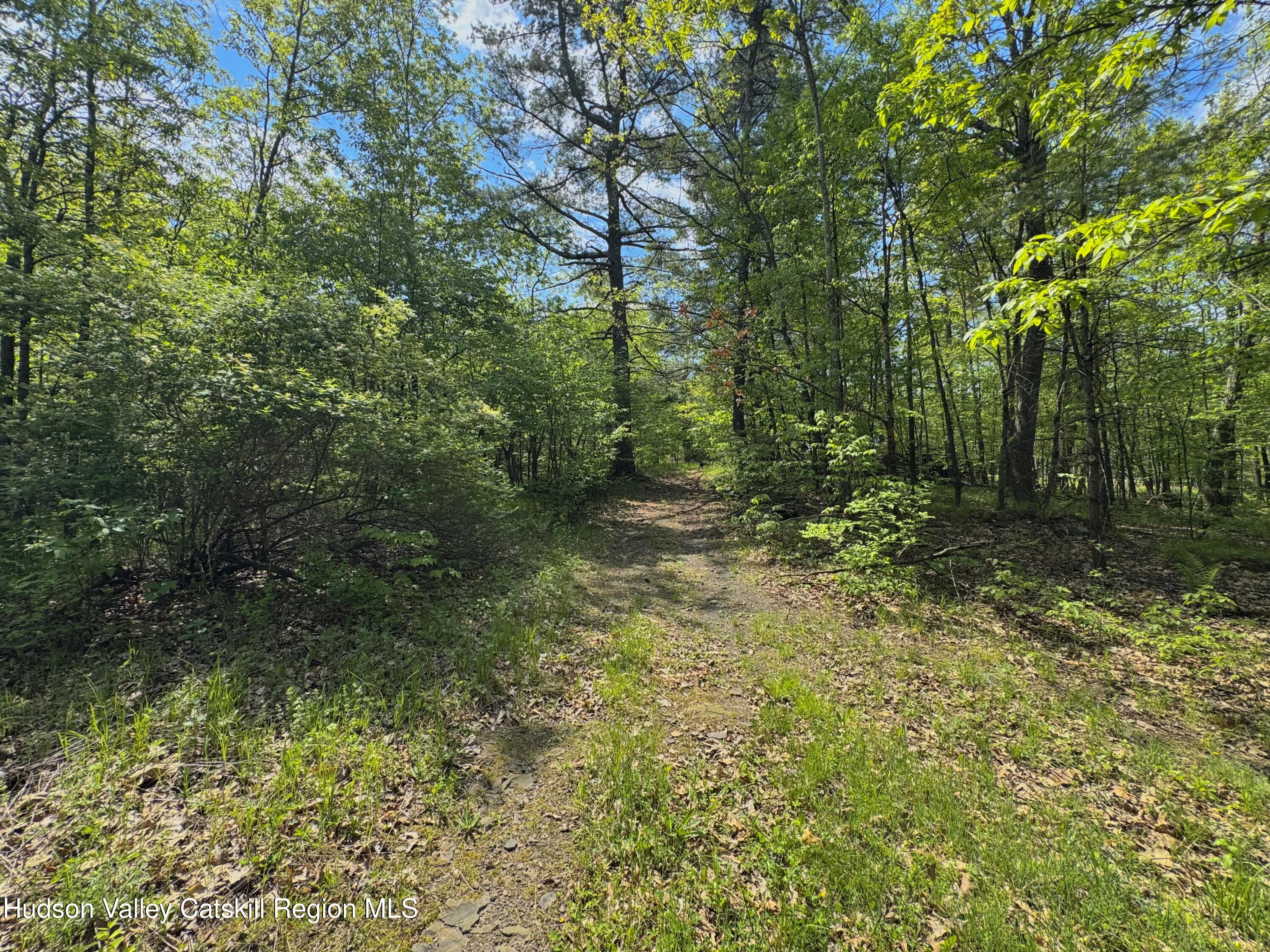 Tbd Bill Matter Road Climax, NY 12042 - Photo 11 of 16 a view of outdoor space and green space