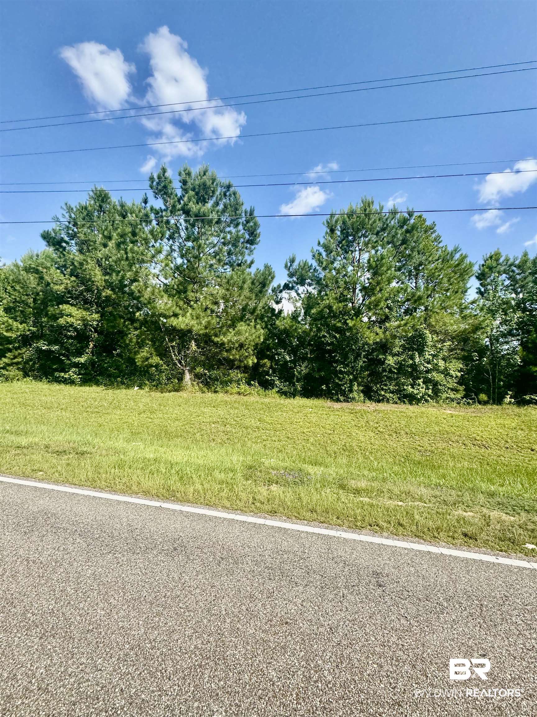 Wild Avenue Evergreen, AL 36401 - Photo 2 of 4