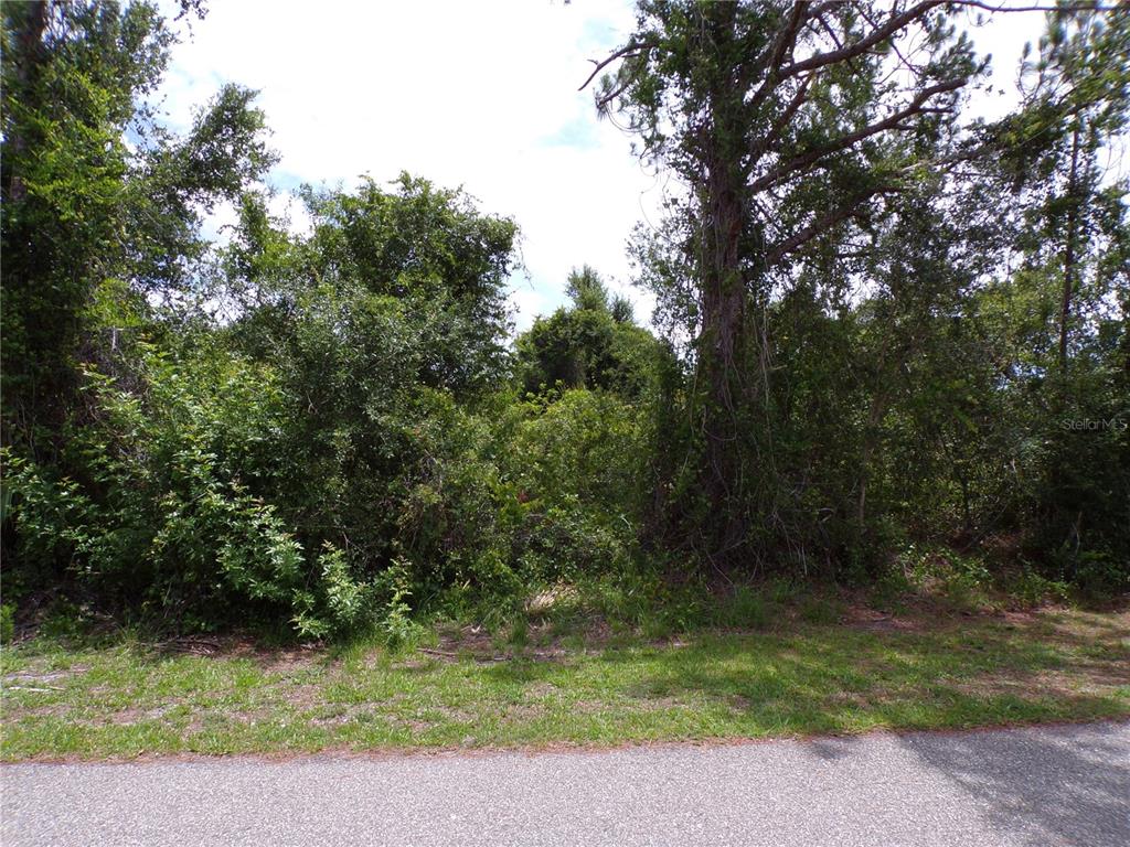 Embassy Rd Port North Port, FL 34291 - Photo 9 of 12 a view of a yard with plants