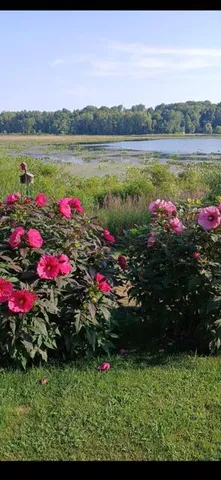 $825,000 | 3752 Schermerhorn Lake Drive, Allegan, MI 49010