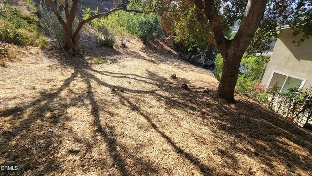 a view of a yard with plants and trees