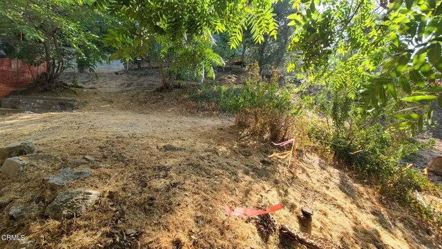 a view of a yard with a tree