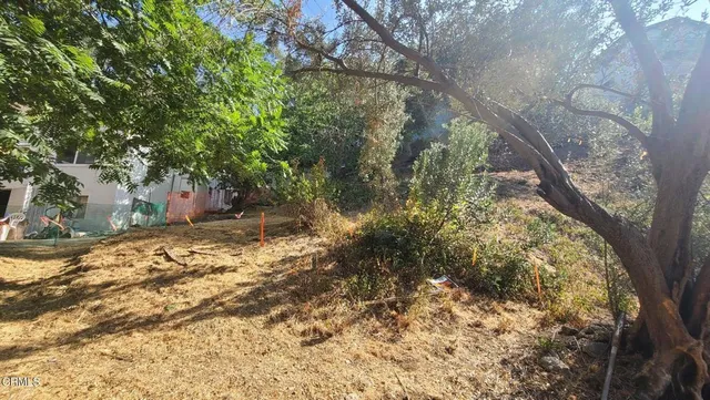a view of a yard with plants and trees