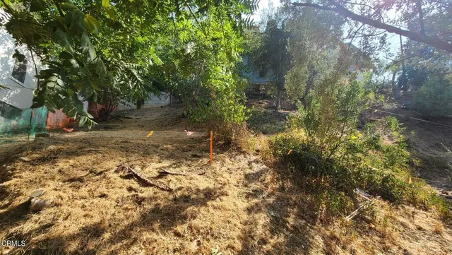 a view of a yard with plants and trees