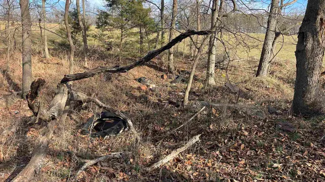 a view of a dry yard