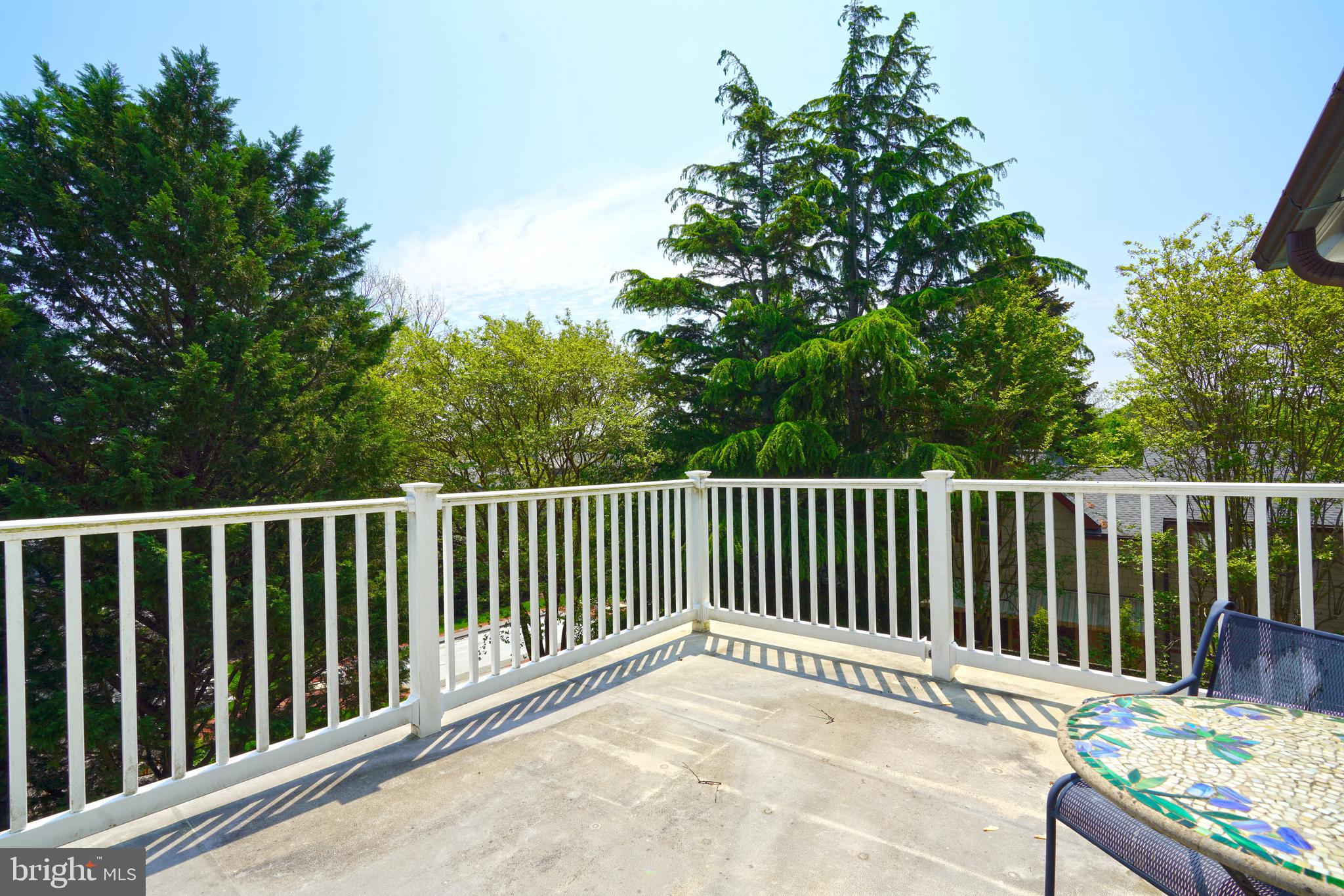 240 2nd Street Lewes, DE 19958 - Photo 75 of 90 Roof Top Deck