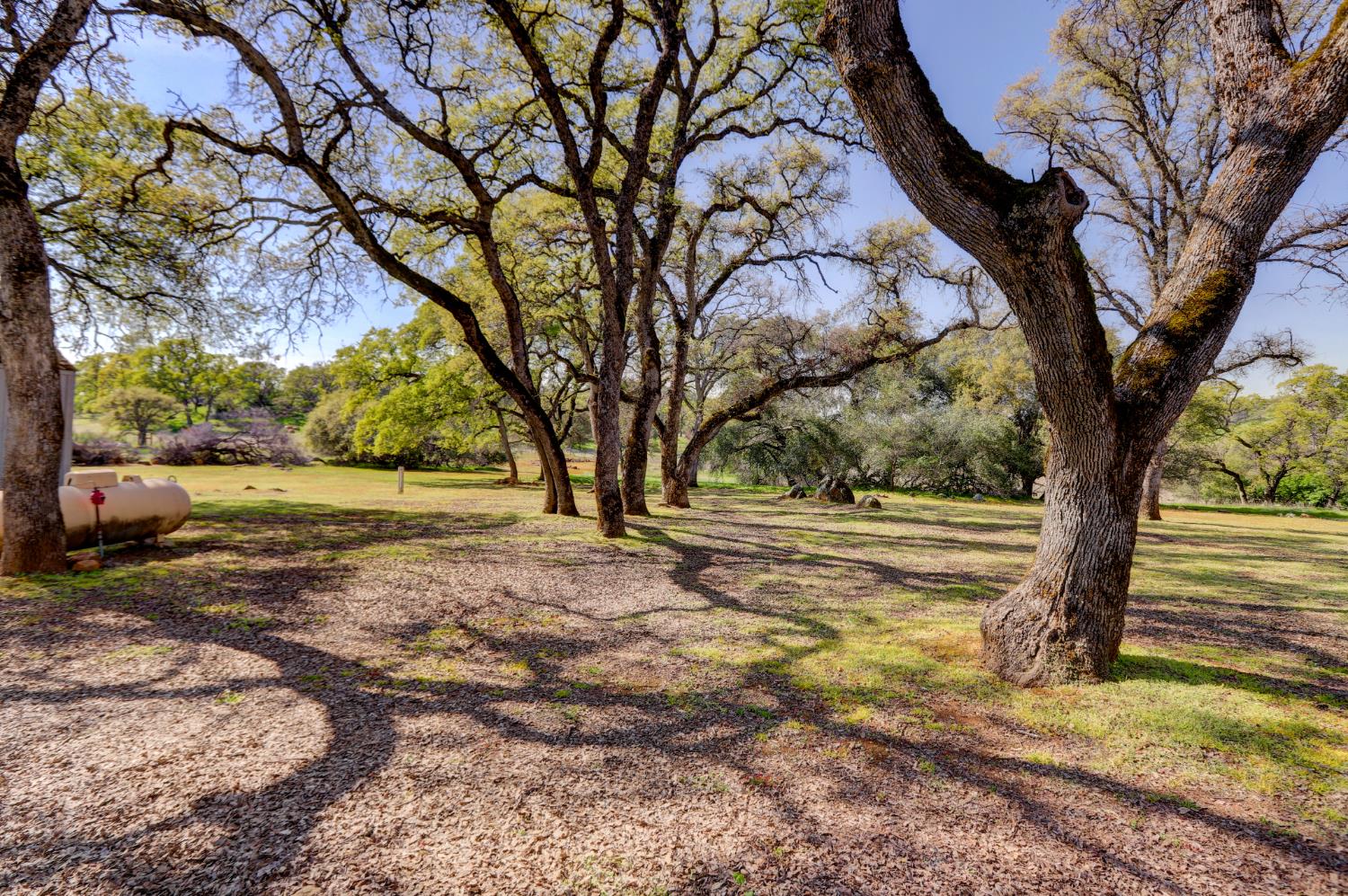 19890 Perimeter Road Grass Valley, CA 95949 - Photo 80 of 95