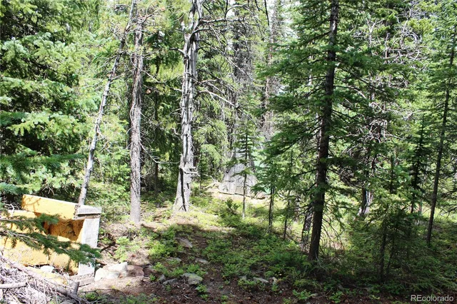 a backyard of a house with lots of green space and fountain view