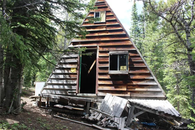 a view of a lush green forest
