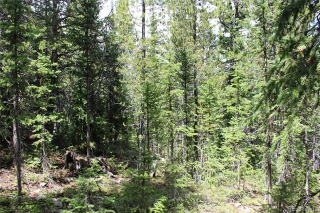 a view of house with a tree