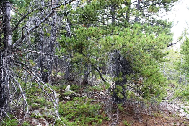 a backyard of a house with lots of plants