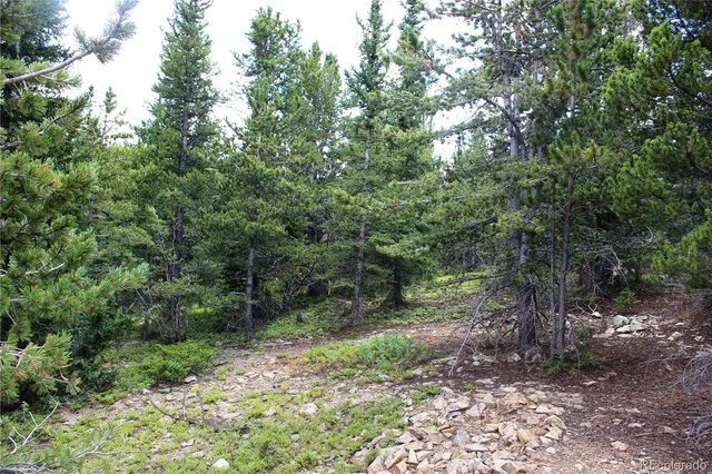 a big yard with lots of green space and deers