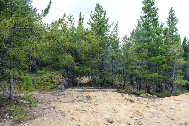 a view of a yard covered in snow
