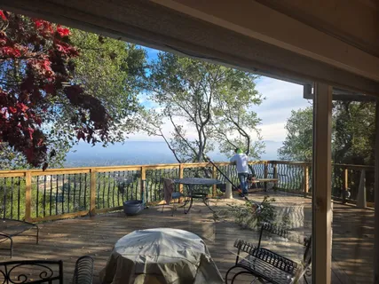 a view of a patio with table and chairs potted plants with large tree