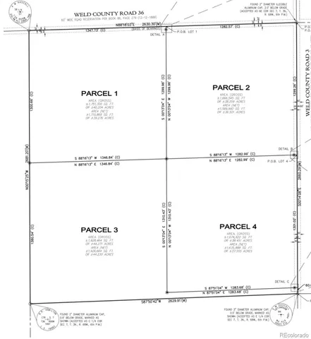 a picture of a black and white photo