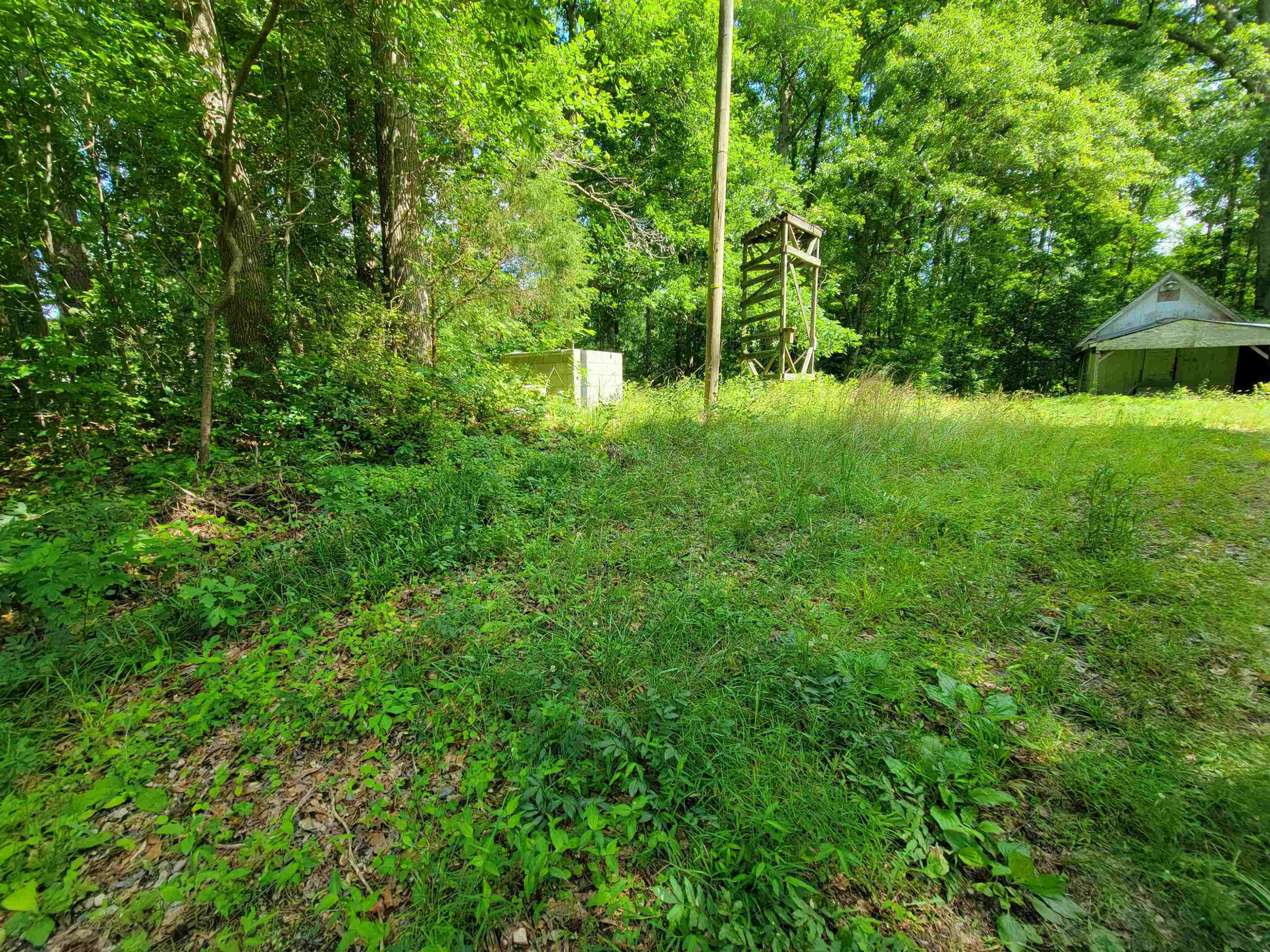 6400 Robertson Pond Road Wendell, NC 27591 - Photo 9 of 33 Photo 9