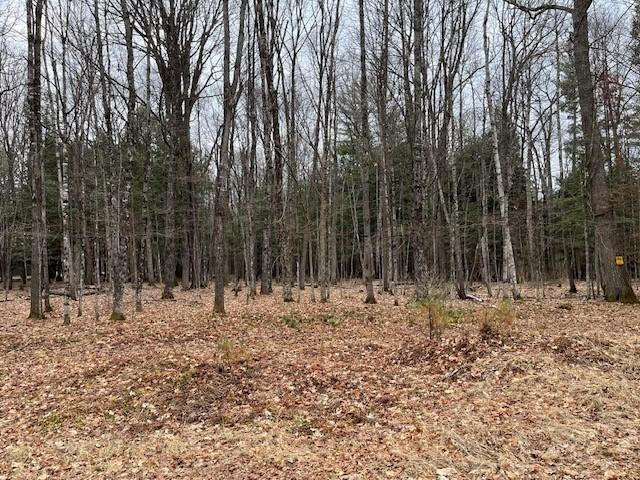 Lot 3 Forest Lake Road Land O'Lakes, WI 54540 - Photo 1 of 3 Gallery Image 1