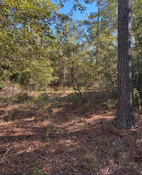 7 B Pearl Bonnett Road Windsor, SC 29856 - Photo 8 of 17 Screenshot 2025-10-20 105205